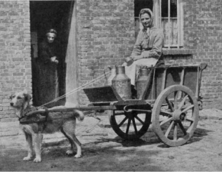 Woman seated on a dog-drawn cart carrying milk churns outside a brick house, another woman watching from a doorway