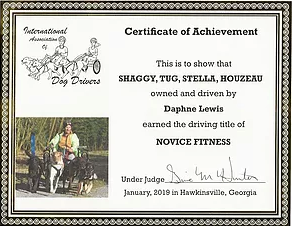 IADD Certificate of Achievement for a Novice Fitness driving title, with judge's signature and a photo of the dog team